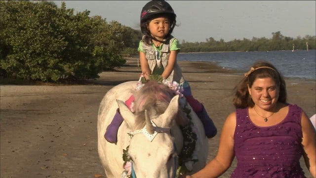 'Unicorn' ride makes special Thanksgiving for special girl