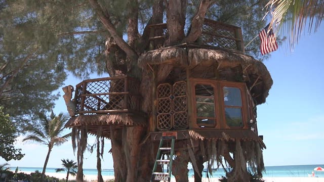 Couple fined more than $15K for Holmes Beach treehouse