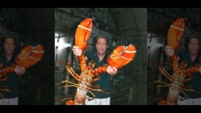 23-pound lobster becomes local N.Y. celebrity