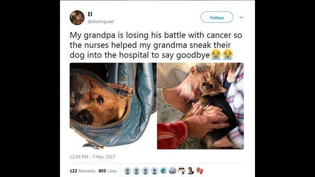 Nurses help sneak dying man's dog into hospital for final goodbye