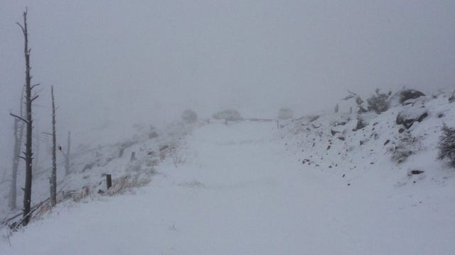 Man seeking pizza needs to be rescued from snowy mountain