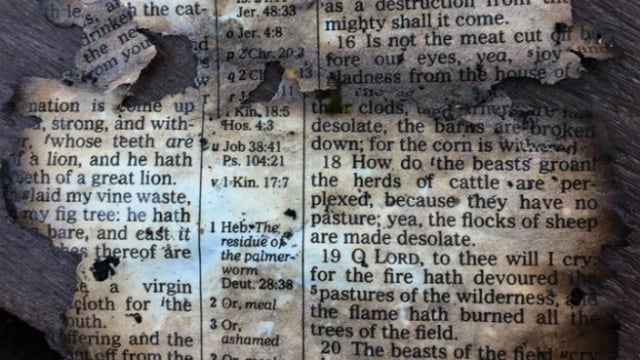 Dollywood employee finds burned Bible page