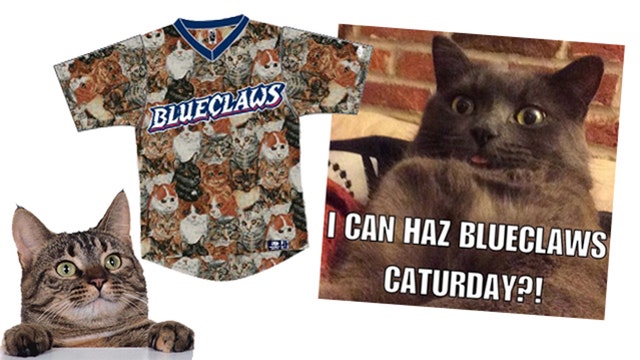 Minor league baseball team to have cat-centered promotion day