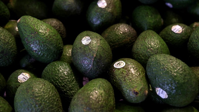 Mexican avocado growers expect US consumers to bear tariffs