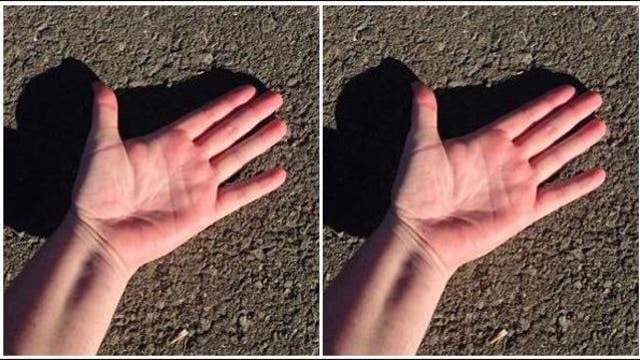 5 second rule: Test the pavement for your pet's paws