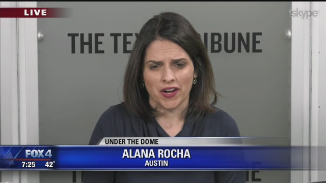 Alana Rocha: Shutdown, border wall and Dan Patrick