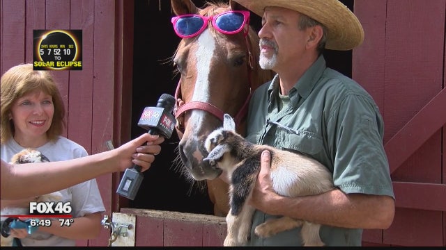 How animals might behave during the Great American Solar Eclipse