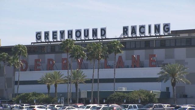 Cocaine found in 5 greyhounds following Derby Lane races