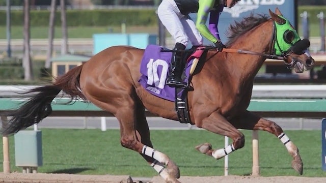 Another horse dies at Santa Anita; 26 racehorse deaths since Dec. 26