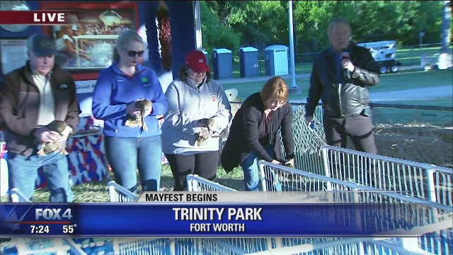 Mayfest begins in Fort Worth