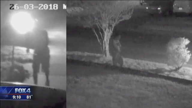 Trackdown: Marine veteran murdered in Oak Cliff