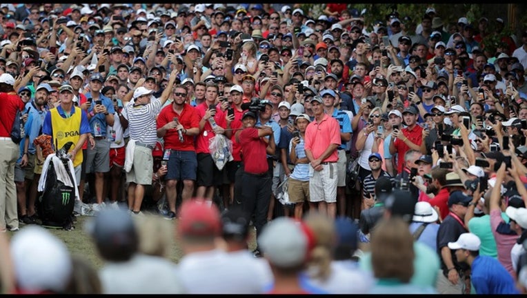 06820300-Tiger Woods_1534182242145