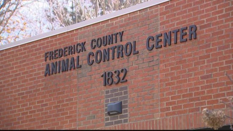 18341e1e-WTTG Frederick County Animal Control 120318-401720