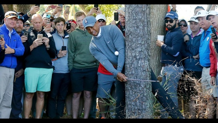 281e8030-Tiger Woods_99515319_1520559325652