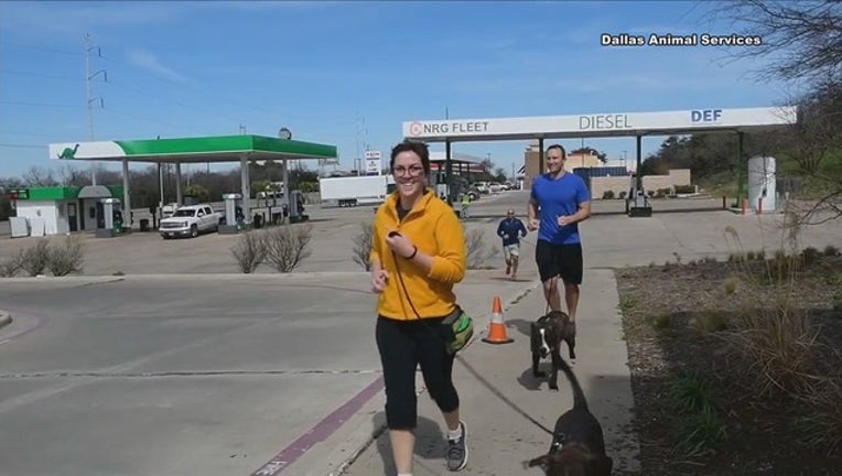 3d86a9fb-Dallas animal services NEEDS DOG RUNNERS