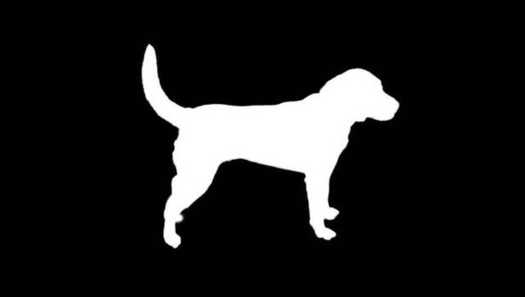 49e04ae8-Dog_1446417839033-401096.jpg