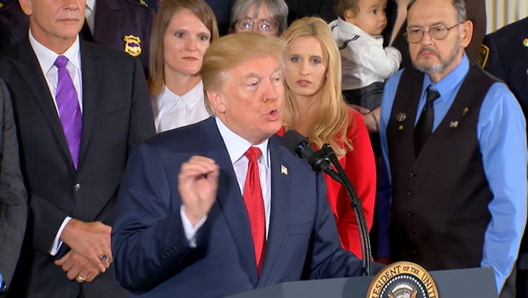 4ec0efa7-TRUMP OPIOID INITIATIVE