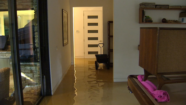5300904e-P-HOUSTON HARVEY FLOOD VICTIM 530P_00.01.16.08_1504218495740.png