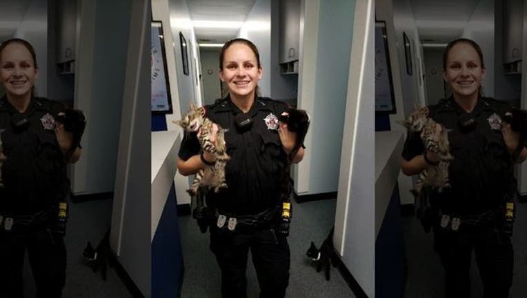 Texas deputy finds starving kittens_1531082063337.jpg-407693.jpg