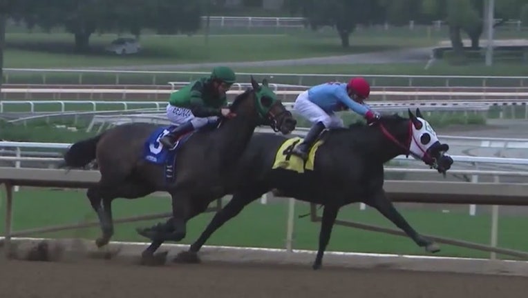 6aa0a5e9-29_horse_deaths_at_Santa_Anita_Park_sinc_0_20190611014118-407068