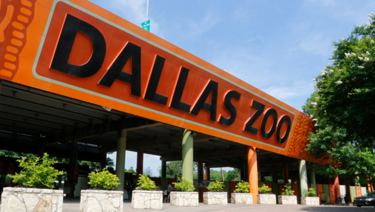 6c366a1c-Dallas Zoo sign_1504054314248.png