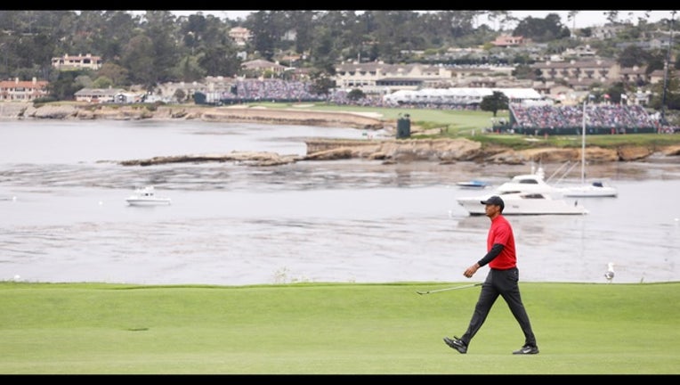 Tiger Woods_1560742960911