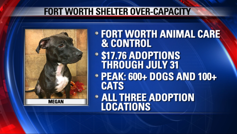 8067bddf-6297 TZ-FORT WORTH ANIMAL SHELTER_00.00.00.23_1499953912869.png