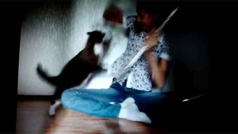 847f472a-Black Cat Frightens Girl-402970