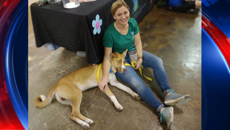 KSAZ Binx The Dog 102218-408200