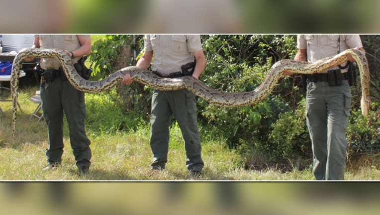 9e7dd2a4-PYTHON_1453385047148-401385.jpg