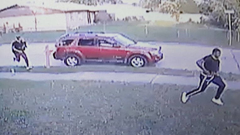 ac509ac4-puppy theft Fort Worth