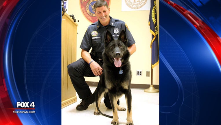 b61aca83-suffolk k9 dallas v