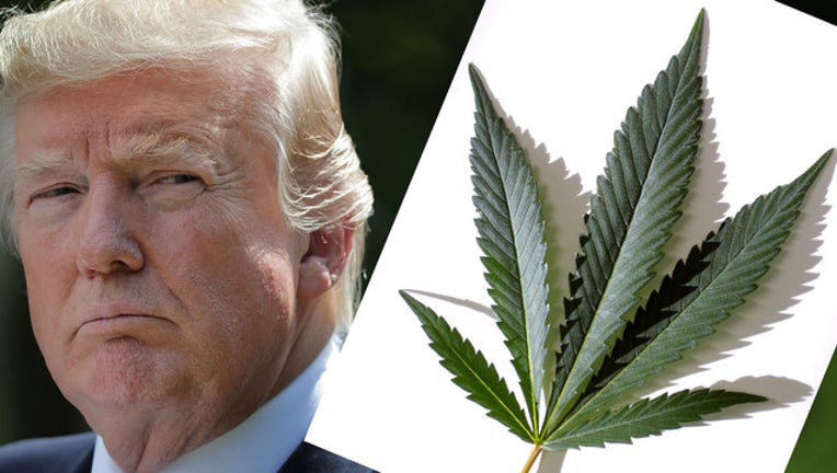 bb11b8c2-trump marijuana getty photos-65880