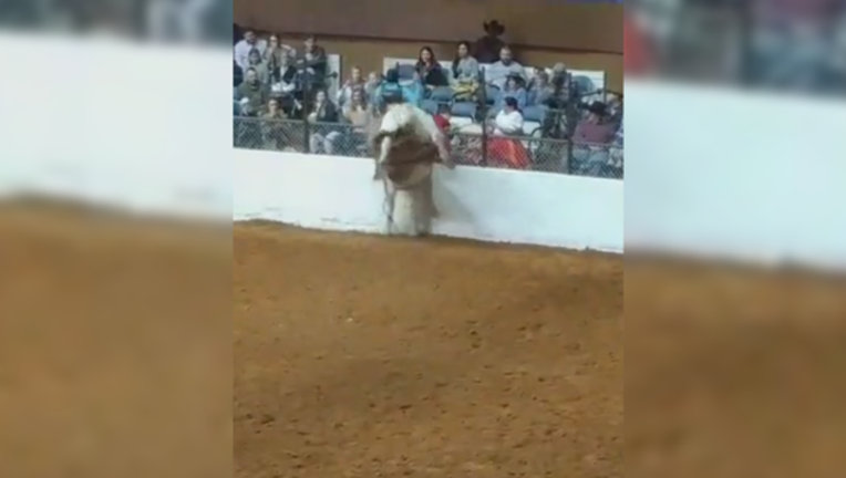 bbaec00b-FW Stock Show horse_1485898652884.png