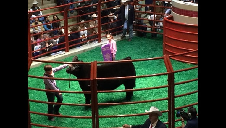 bf8904a8-Grand Champion Steer, Big Boy