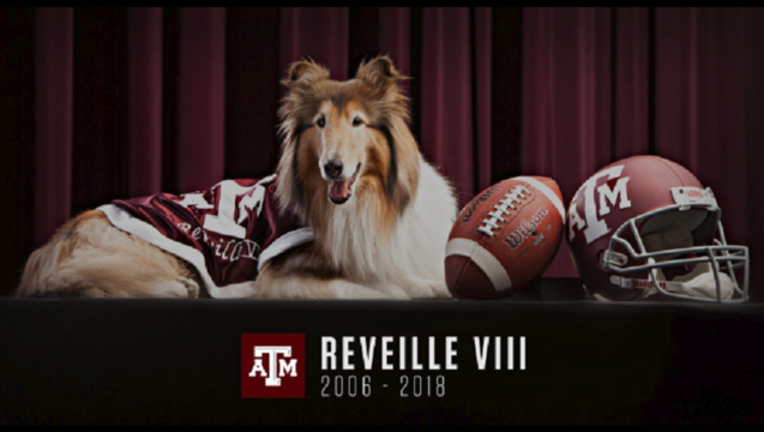 c4a09f6c-TAMU_Mascot_ReveilleXIII.PNG