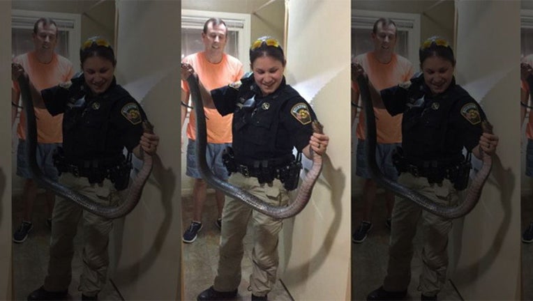 Texas deputy snake bathroom_1528673446883.jpg-407693.jpg