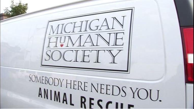 e4b8a29b-wjbk-michigan humane society-052119_1558465129822.JPG-65880.jpg