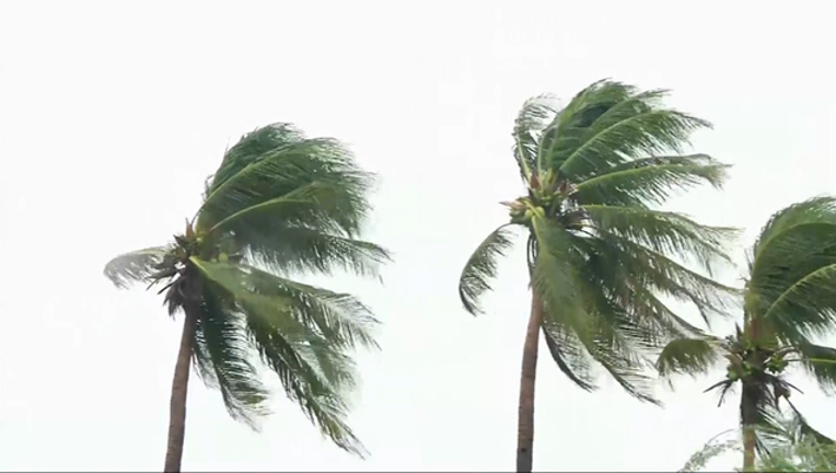 HURRICANE MATTHEW _00.00.11.29_1475621628145-404959.png