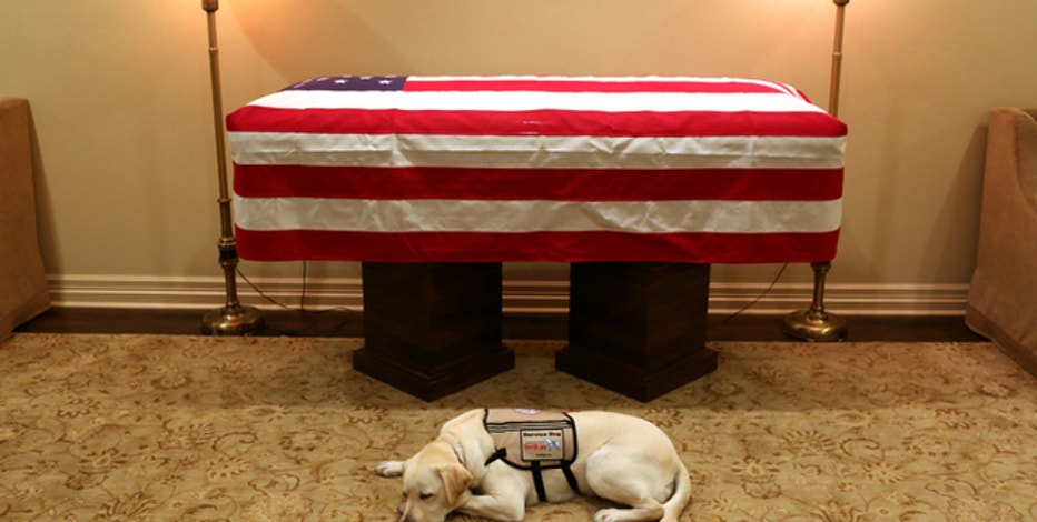 America's VetDogs offer free service dogs to our military and