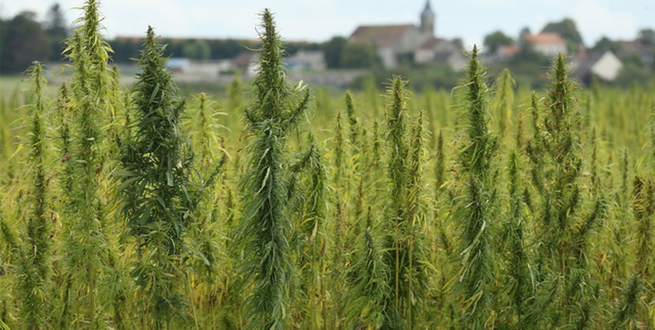 New Texas THC rule enforcement begins Wednesday