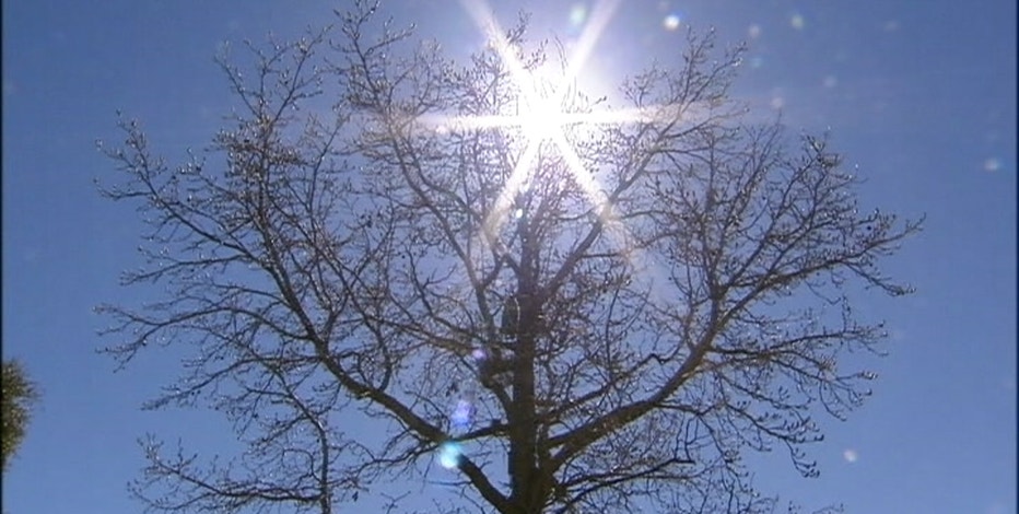 Texas power grid holds after weekend calls for conservation