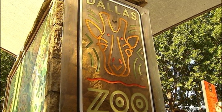 Dallas Zoo gives update on enhanced security; stolen monkeys return to exhibit