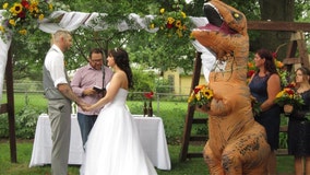 Maid of honor shows up to sister's wedding in giant T-rex costume