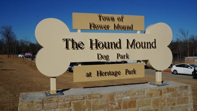 Police investigate after dog may have eaten marijuana at North Texas dog park