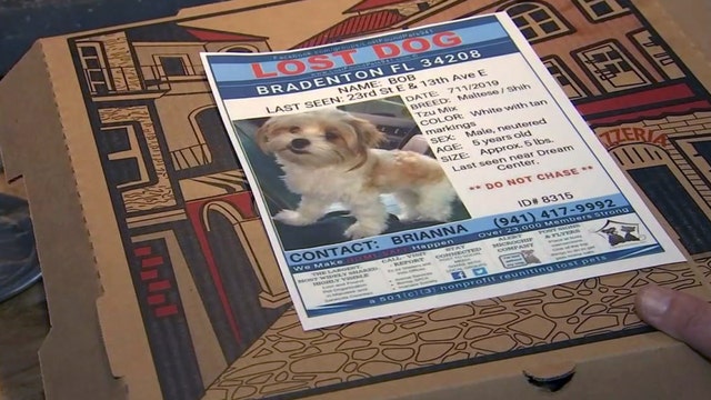 Pizzeria puts pictures of lost pets on pizza boxes