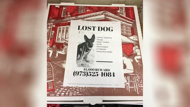Pizzeria puts flyers of lost pets on pizza boxes, encourages other shops to do the same
