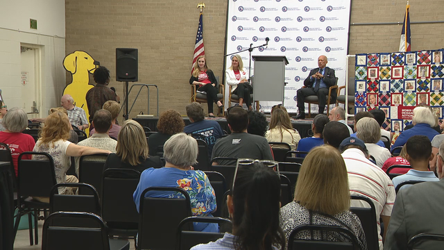Dallas County Democrats host gun violence town hall