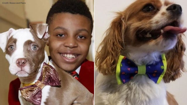 12-year-old boy makes stylish bow ties to help shelter animals find forever homes