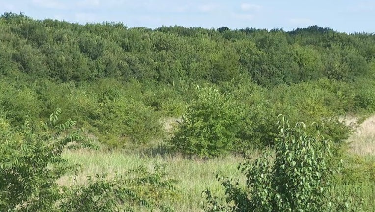 58b8d532-10P 290 TZ_MCDERMOTT RANCH LAND _00.00.00.10_1563935955738.png.jpg